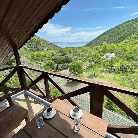 Forest House, In Nature, Without Stress Sarkoy