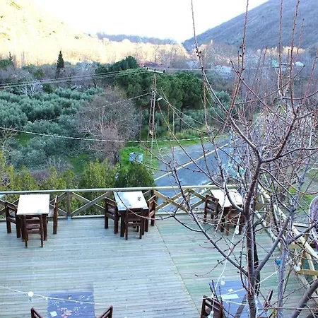 Lejlighed Forest House, In Nature, Without Stress Sarkoy