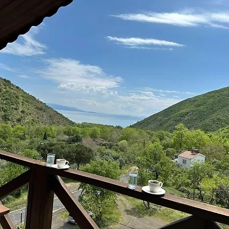 Forest House, In Nature, Without Stress * Sarkoy